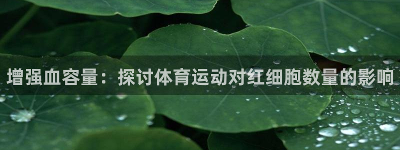 风速体育直播