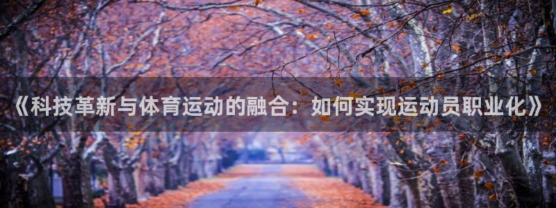 风速体育app下载官网最新版
