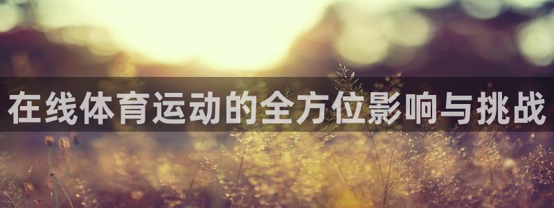 风速体育