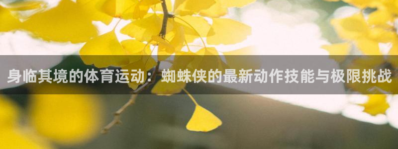 风速体育nba直播