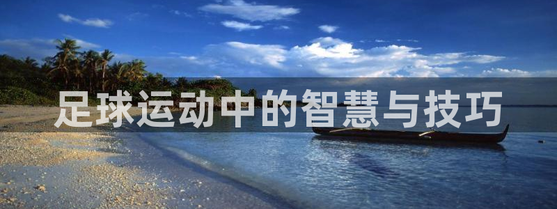 风速体育直播app