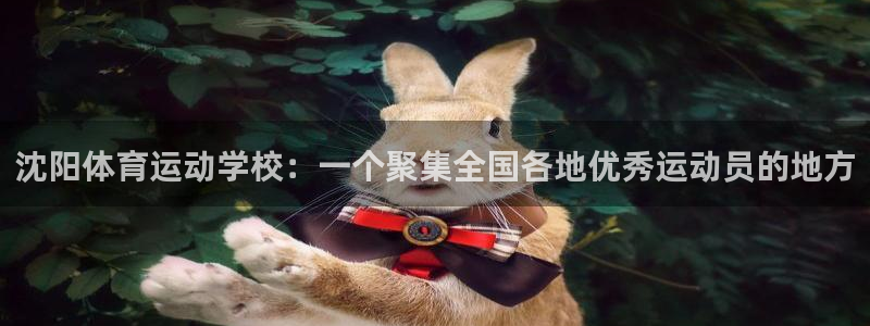 风速体育app官方下载
