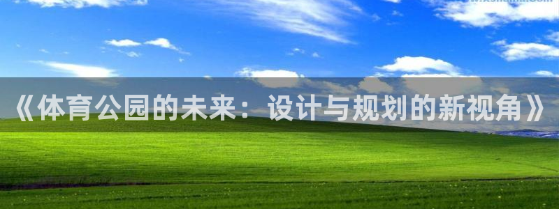 风速体育app下载官网最新版