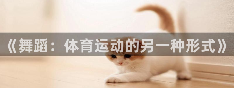 风速体育app下载官网最新版