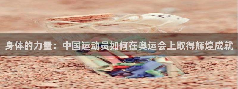 风速体育直播