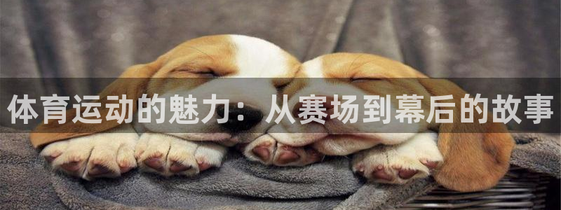 风速体育nba免费直播