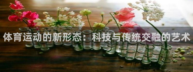 风速体育app下载官网最新版