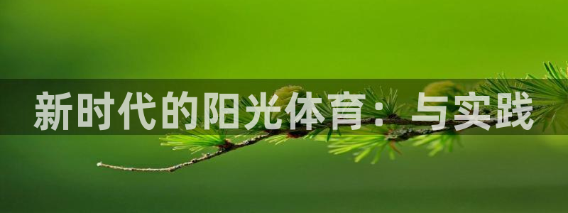 下载风速体育
