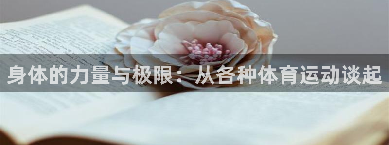 下载风速体育