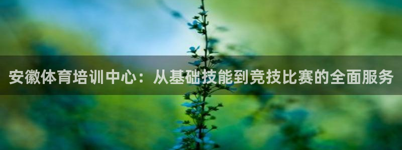 风速体育app官方下载