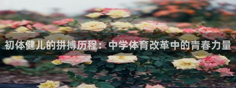 风速体育cba直播