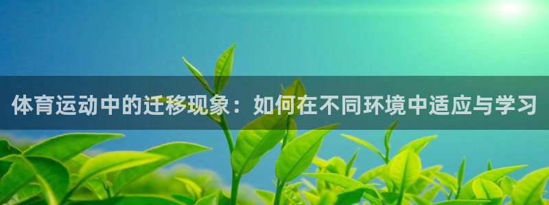 风速体育