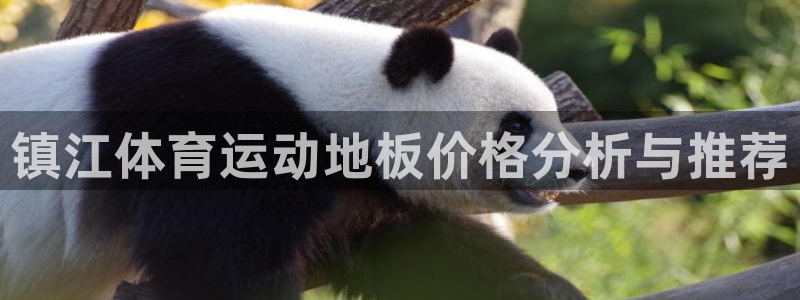风速体育cba直播