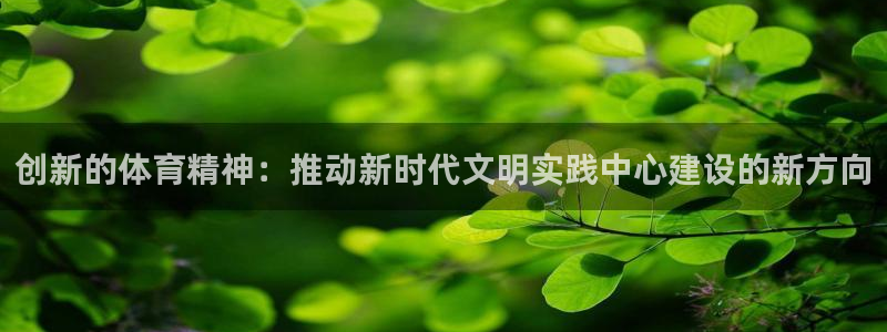 风速体育