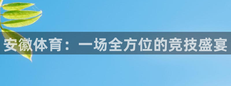 风速体育