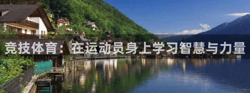 风速体育直播app
