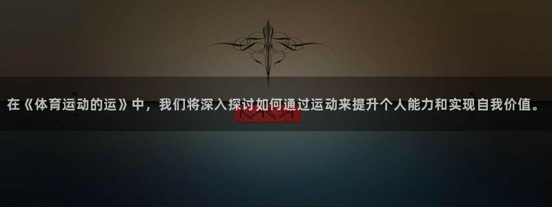 风速体育直播